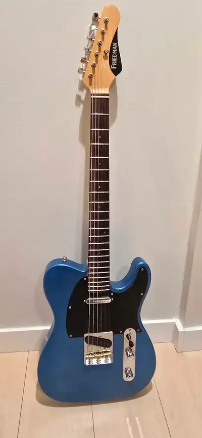 Friedman classic T lake placid blue. Rosewood fingerboard. Great guitar. Have 2 selling one. No trad...