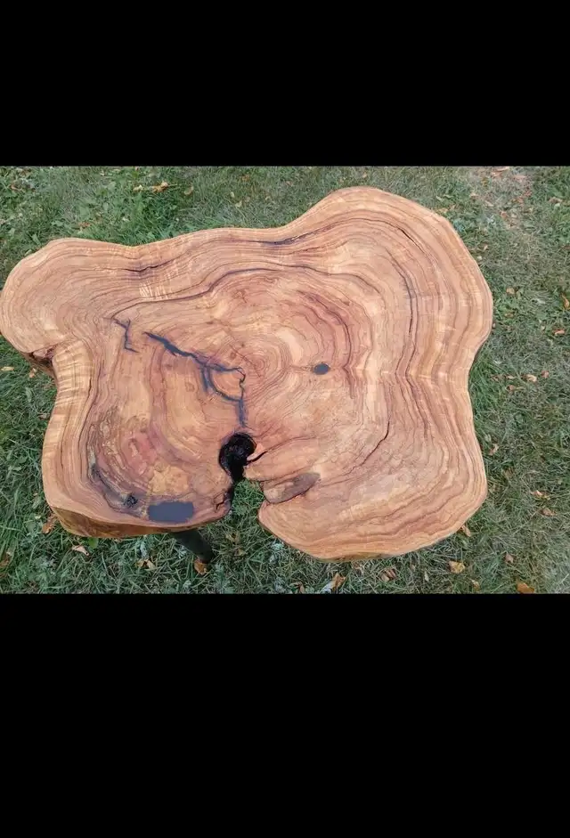 Unique Custom Live Edge Table in Other Tables in Regina - Image 4