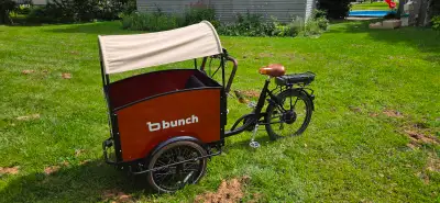 Bunch Bike Electric Cargo bike, View more