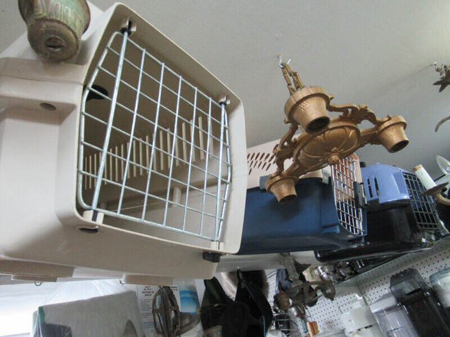 Cage à chien, transporteur chat ou animaux, plastique ou broche dans Accessoires  à Laval/Rive Nord - Image 3