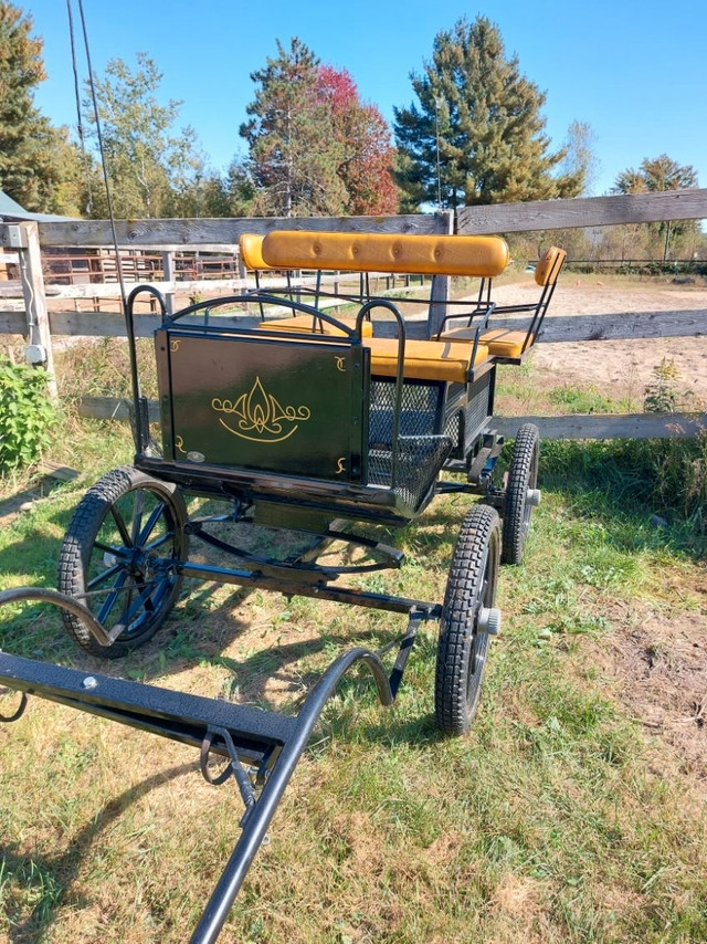 Voiture pour chevaux Robert dans Accessoires pour bétails et chevaux  à Ouest de l’Île - Image 2