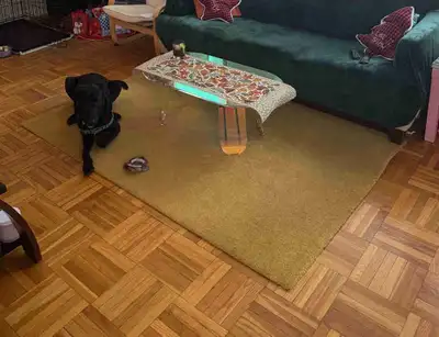 Yellow carpet mat  , View more