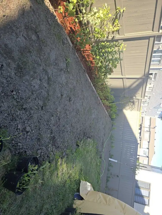 Cheap landscaping403929222559846406