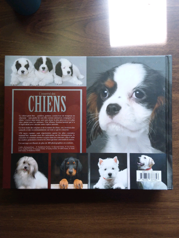 LIVRE L'ESSENTIEL DES CHIENS in Accessories in Lanaudière - Image 3