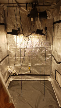 Grow tent / lights / accessories (trade for hockey cards)