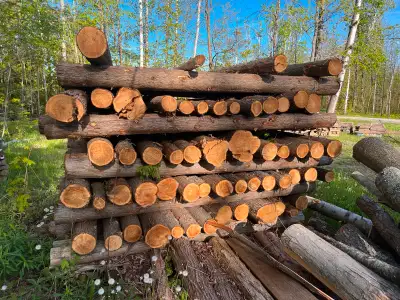 8 foot white cedar fence posts, View more