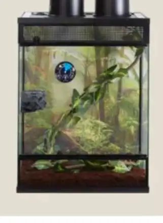 WANT 18x18x24 terrariums , View more