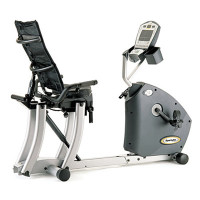 Recumbent Exercise Bike (amazing)