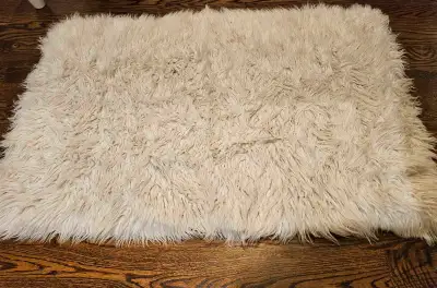 Small Shag Rug/Mat, View more