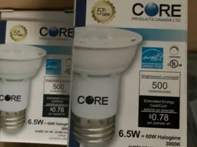 Light Blubs, 6.5 Watts by Core