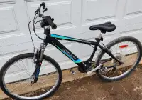 mountain Bike Infinity Crazy horse HT26'' bicycle