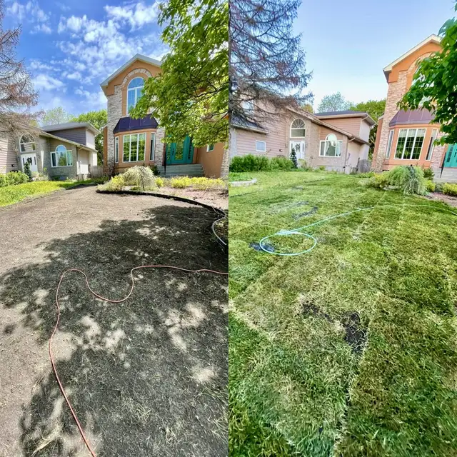 Professional Landscaping  - Clean, fast & Reliable63793687700225121