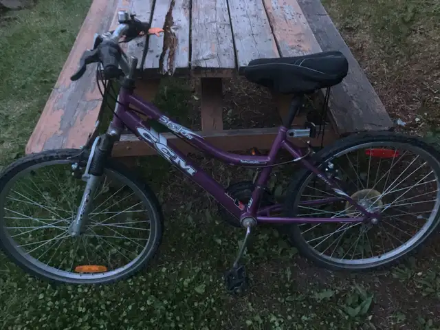 pedal bike 62863733794179129