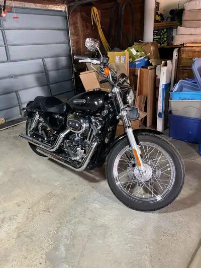 2006 XL 1200L Harley Davidson Sportster 101188 km Black