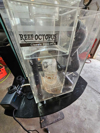 Reef Octopus Protein Skimmer 