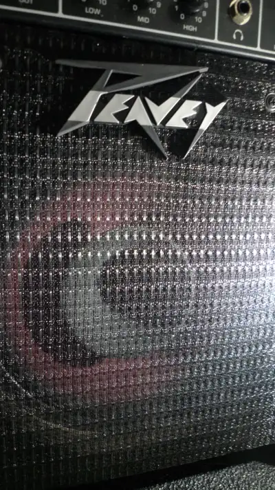 PEAVEY BASS AMP WITH NOS MARSLAND FULL RANGE SPEAKER, View more