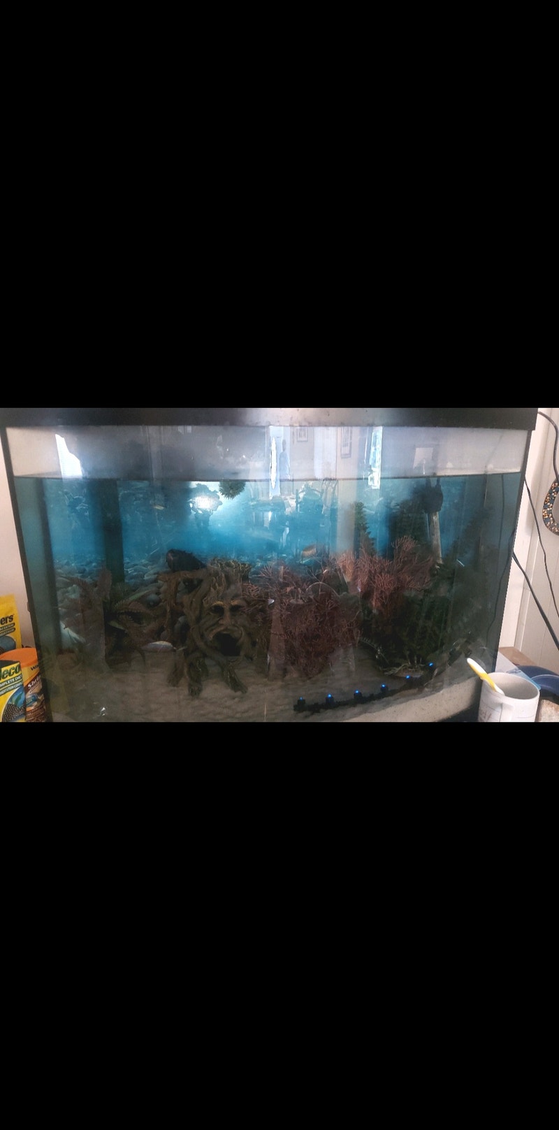 45 Gallon Aquarium Accessories Barrie Kijiji