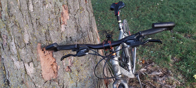Hybrid bicycle (custom) dans Randonnée, ville et hybrides  à Ville de Montréal - Image 2