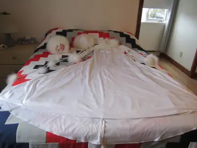 Robe, manchon et chapeau de mariée, mariage en hiver, View more