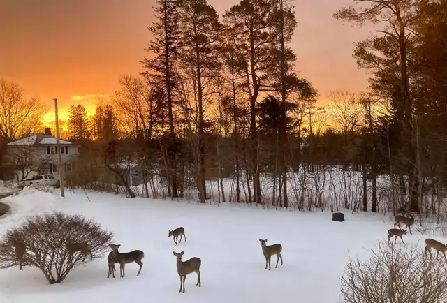 1 Bedroom in Middleton - Short term rentals preferred in Room Rentals & Roommates in Annapolis Valley - Image 8