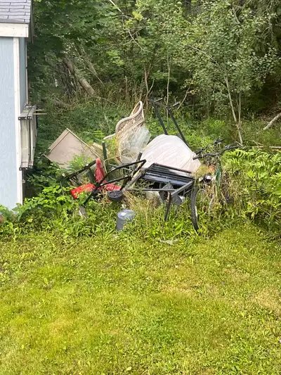 Need someone to load and remove junk from back yard. Some scrap metal in the pile. No reasonable off...