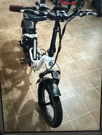 Rad Step thru E Bike, View more