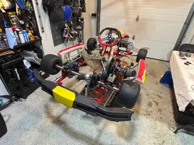 Birel ART AM29 S11 and 2 Briggs & Stratton Engines - Your in Other in City of Toronto - Image 7