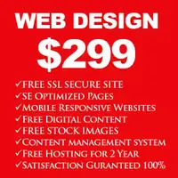 SEO web website design | CALL 6477454587 | FREE HOSTING 2 YEARS