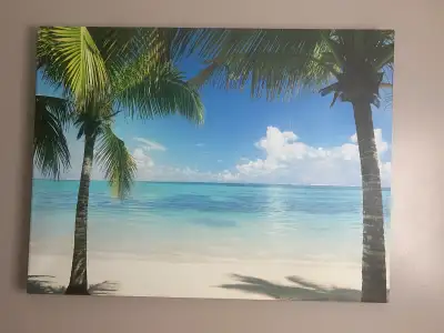 Palm Trees & White Beach