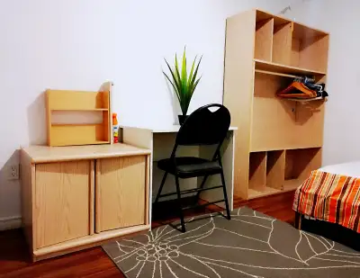 New renovated Furnished 1 room on the first floor  ,move in now。