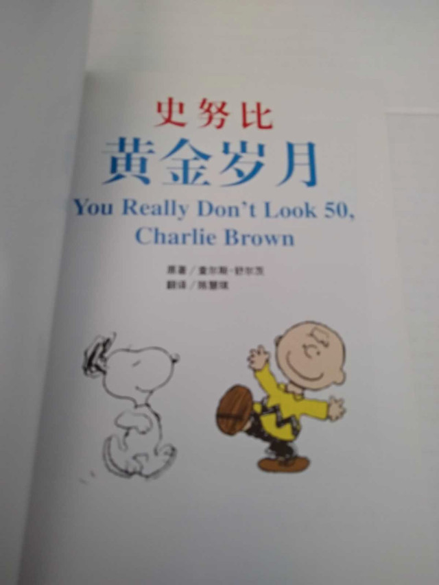 Chinese Snoopy and Charlie Brown book in like new condition  in Children & Young Adult in Kitchener / Waterloo - Image 3