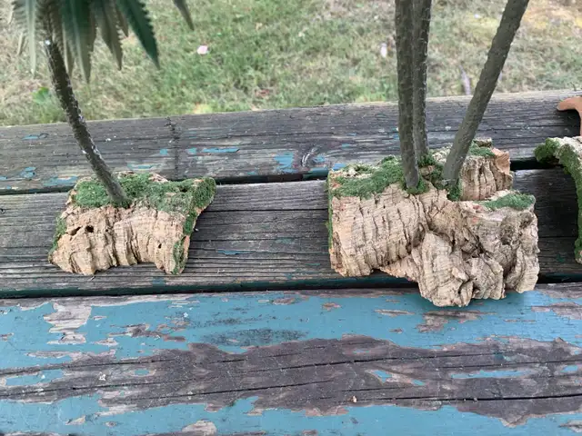 Palmiers artisanales  pour décoration crèche in Arts & Collectibles in Laurentides - Image 7
