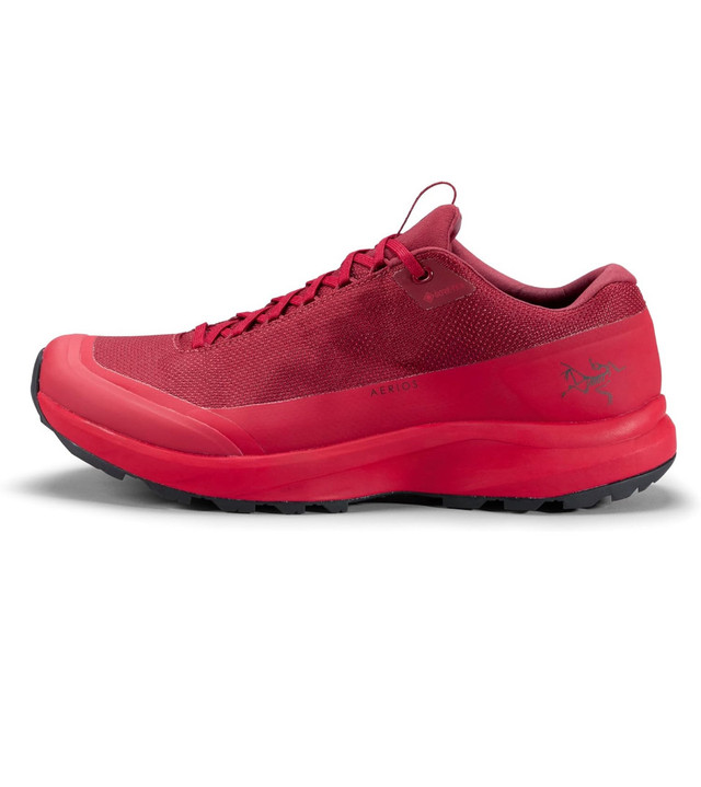 Arc'teryx Aerios FL 2 GTX Shoes in Men's Shoes in Barrie