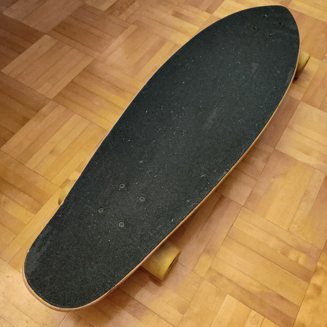 Longboards Sims dans Planches à roulettes  à Laval/Rive Nord - Image 2