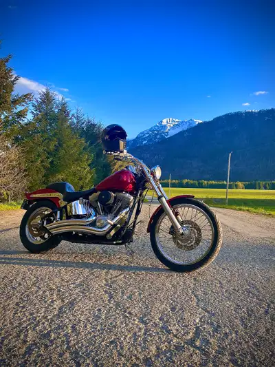 FXST Carbureted Twin Cam 88. Stage 2. Full cam chest upgrade. Less than 500km on tires, battery, sta...