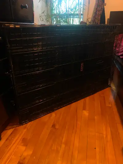 Très grande cage pour chien. A été utilisée pour faire un condo de nuit à un chat extrêmement maniaq...