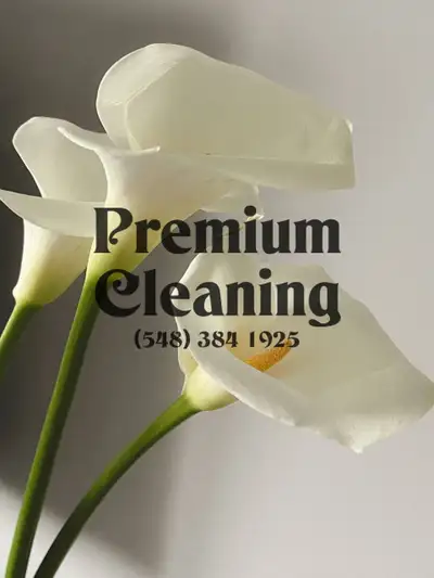 Premium house and apartment cleaning. More time for the important things! We'll take care of your cl...