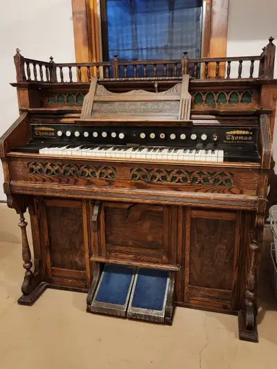 Thomas Woodstock Organ, View more