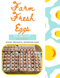 Farm Fresh Eggs