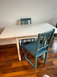 Folding Tables with Chairs 