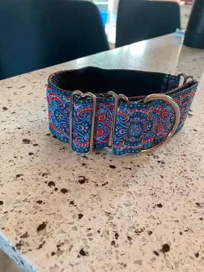 New martingale dog collar for sale 13-14” size. Fits most hounds. Pick up in Trenton Text 905-449-50...
