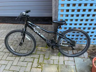 Kids 24” mountain bike, View more