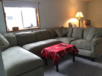 Comes from a clean, pet free, smoke free home. Green colour