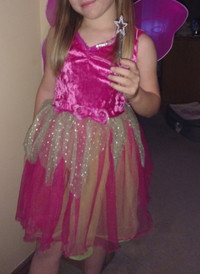 Fairy Princess Costume with Wings 