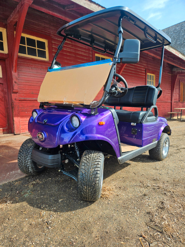 2024 Hdk Classic 2 Electric Lithium Golf Cart and Street Machine in Golf in Saskatoon