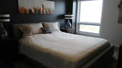 Renting a fully furnished one bedroom/1 bathroom (875 sq ft) condo in the Riverfront condominium. Pr...