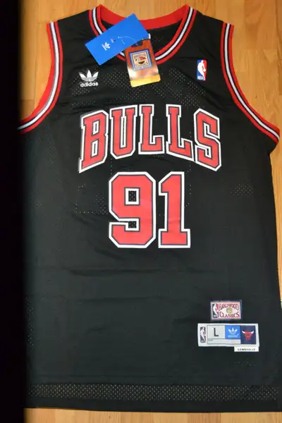 New w/ Tags DENNIS RODMAN All Embroidered Jersey, View more
