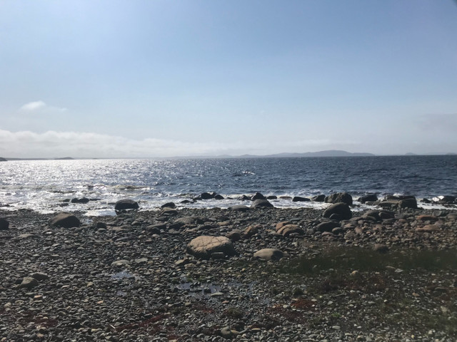 Beautiful 1.3 acre oceanfront land for sale in Land for Sale in Gander - Image 4
