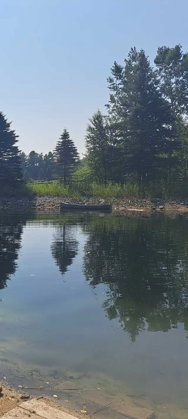 Room For Rent 800 all inclusive