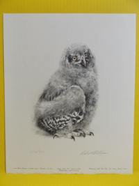 ORIGINAL SIGNED ROBERT BATEMAN "YOUNG SNOWY OWL" PRINT 532/950